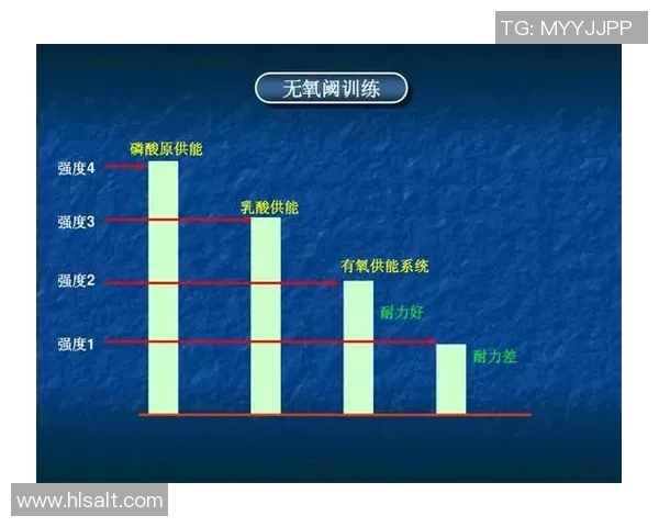 武汉羽毛球队灵活性表现的数据分析与战术优化研究